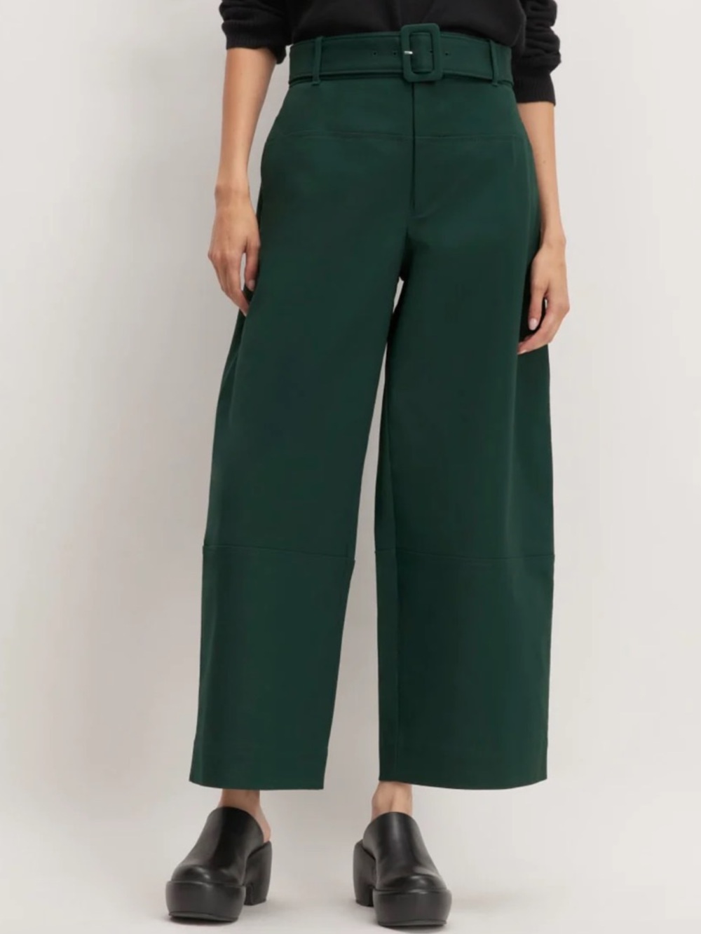 Everlane The Structured Cotton Pant